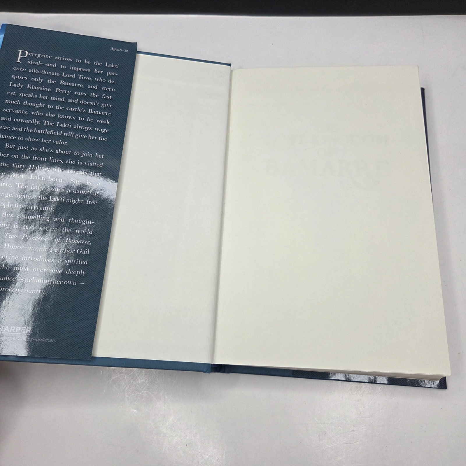 Gail Carson Levine The Lost Kingdom Of Bamarre First Edition Hardcover Blue Ya — image 3 of 6